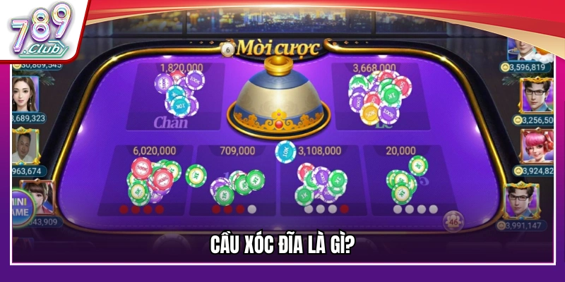 Giải thích về cầu xóc đĩa trong các trò chơi cá cược